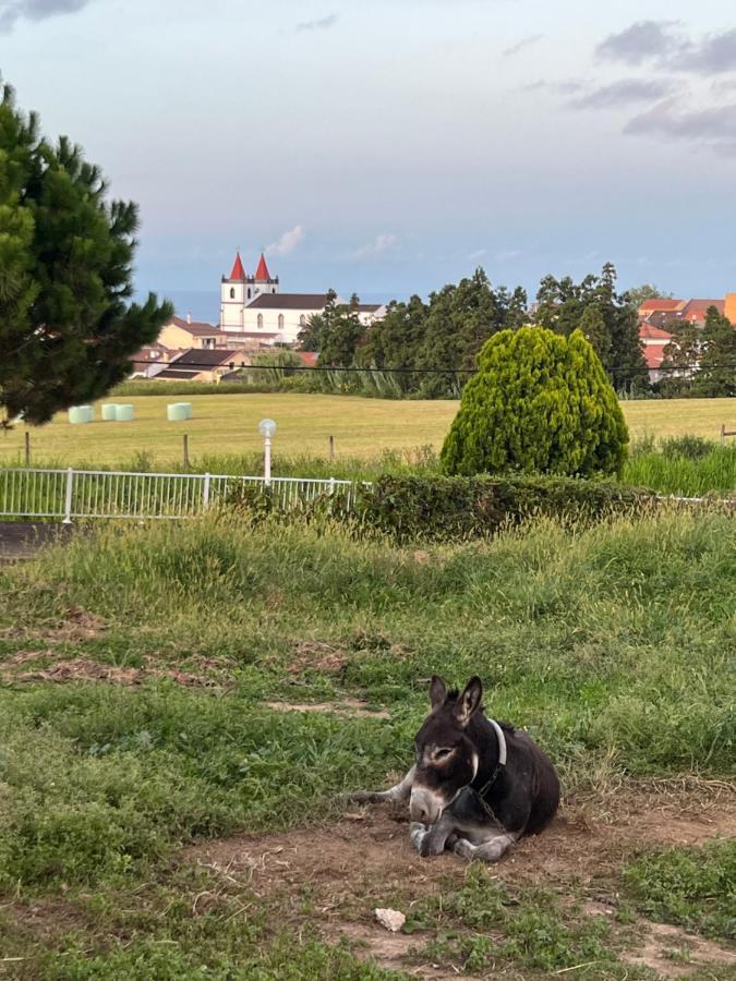 Quinta Do Avo Dimas - Rural Home - Sao Bras Porto Formoso 外观 照片