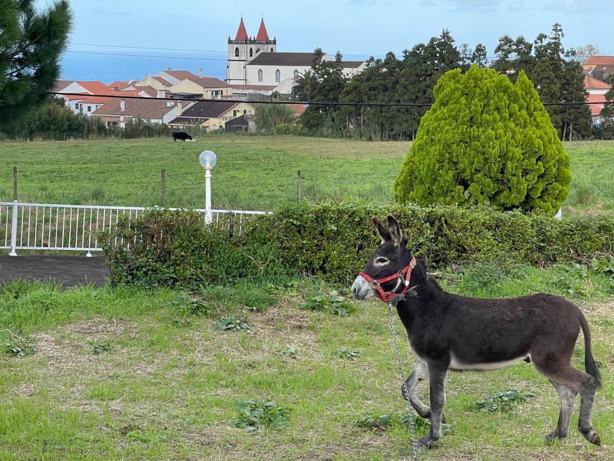 Quinta Do Avo Dimas - Rural Home - Sao Bras Porto Formoso 外观 照片